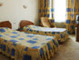 Slavyanska Beseda Hotel - Luxury room